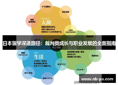 日本留学深造路径：裁判员成长与职业发展的全面指南