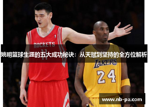 姚明篮球生涯的五大成功秘诀：从天赋到坚持的全方位解析