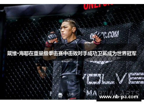 戴维·海耶在重量级拳击赛中击败对手成功卫冕成为世界冠军