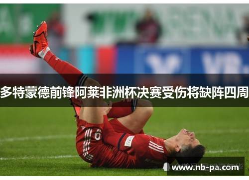 多特蒙德前锋阿莱非洲杯决赛受伤将缺阵四周
