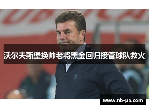 沃尔夫斯堡换帅老将黑金回归接管球队救火 沃尔夫斯堡换帅老将黑金回归接管球队救火