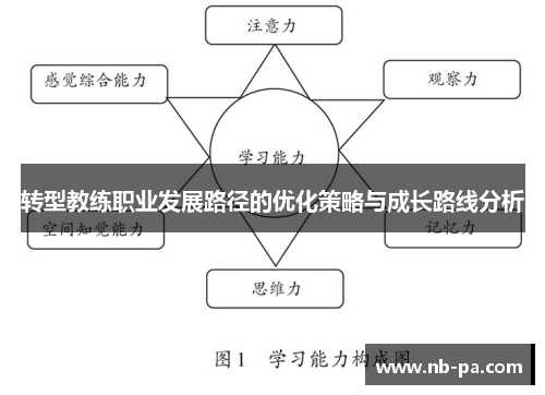 转型教练职业发展路径的优化策略与成长路线分析