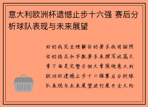 意大利欧洲杯遗憾止步十六强 赛后分析球队表现与未来展望